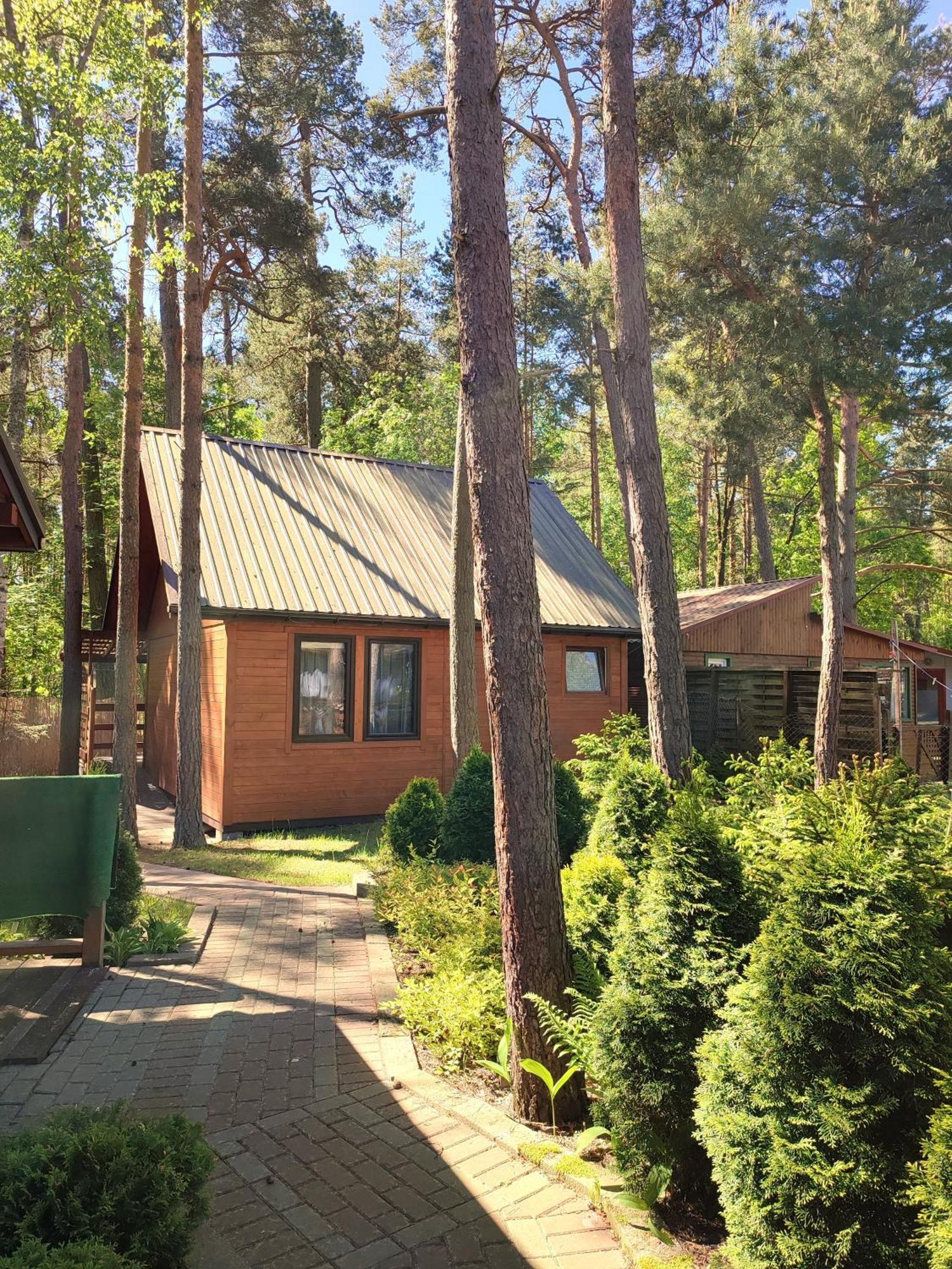 O.w. Plaza Stegna (Pomerania)